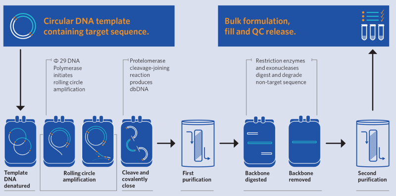 Touchlight DNA synthesis platform