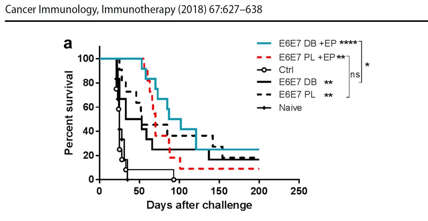 Doggybone DNA vaccine induces similar immunological responses to plasmid DNA