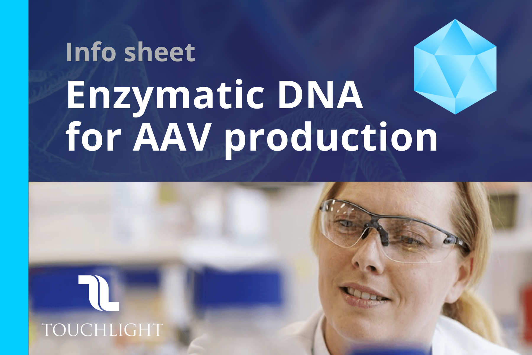 Info sheet – Enzymatic DNA for AAV production