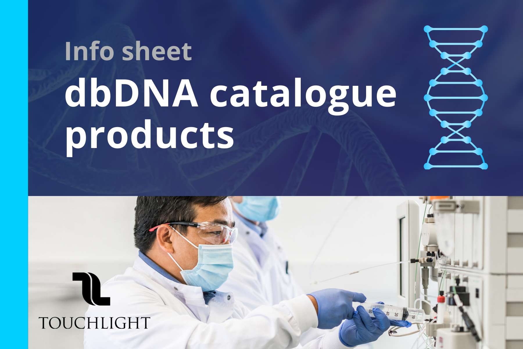 Info sheet – dbDNA catalogue products