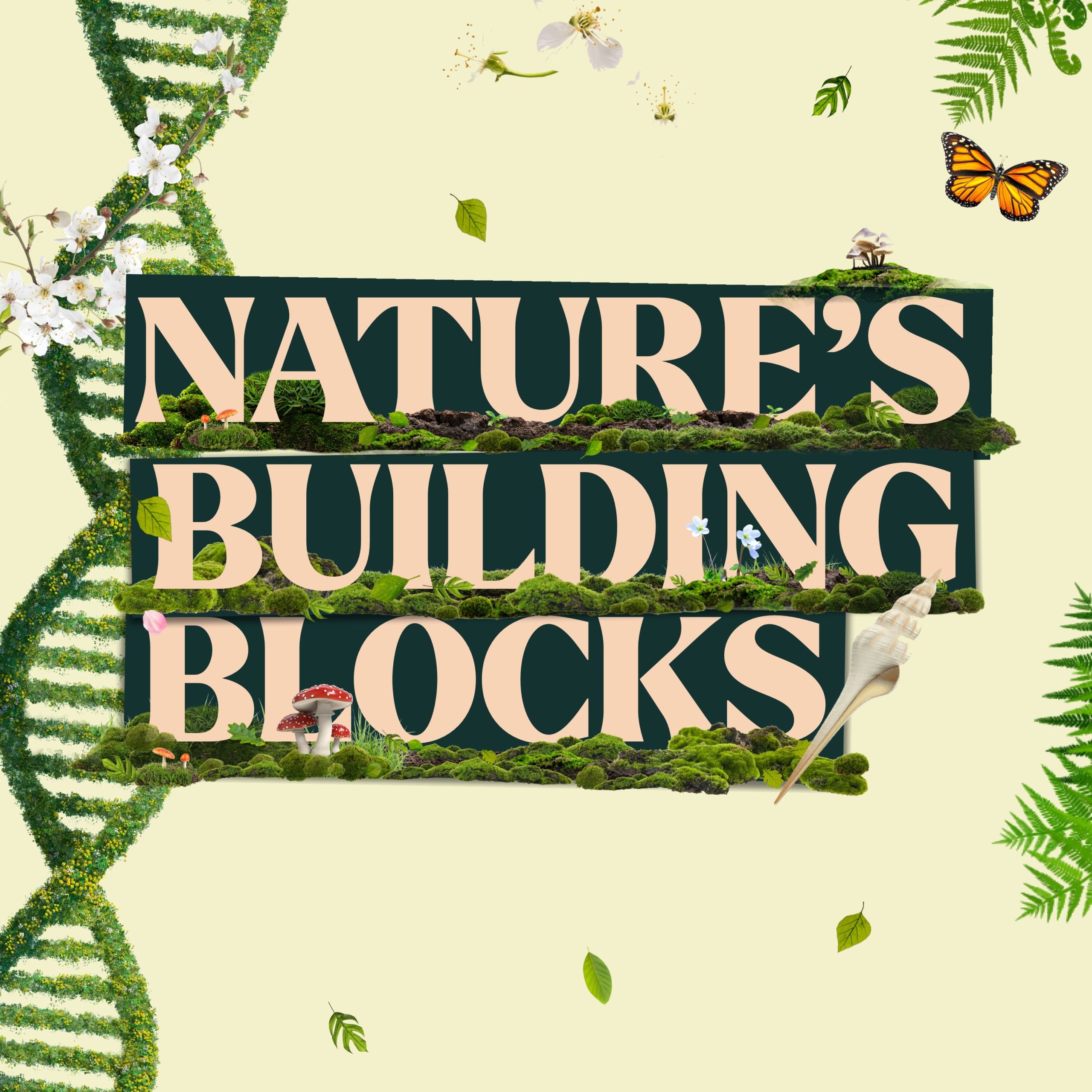 Touchlight Nature's building blocks video