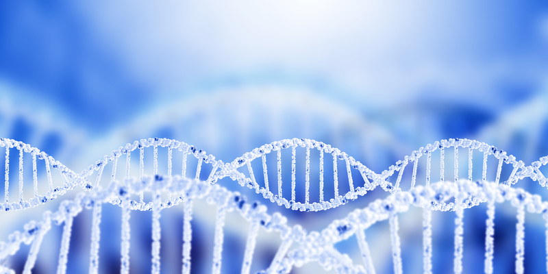 Enzymatic DNA vs plasmid DNA