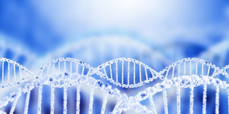 enzymatic dna vs plasmid dna